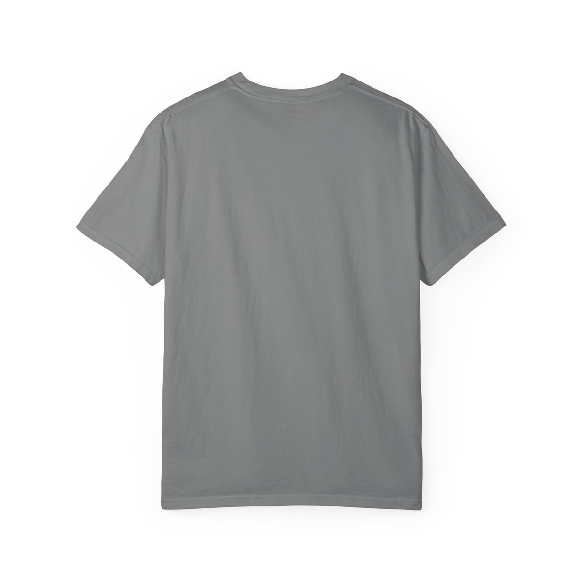 Jesus Is the Reason for the Season Christmas T-Shirt