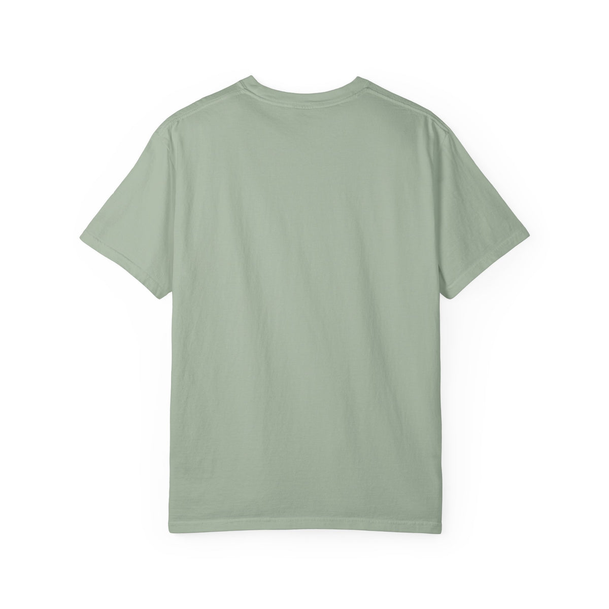 Copy of Copy of Jesus Is the Reason for the Season Christmas T-Shirt