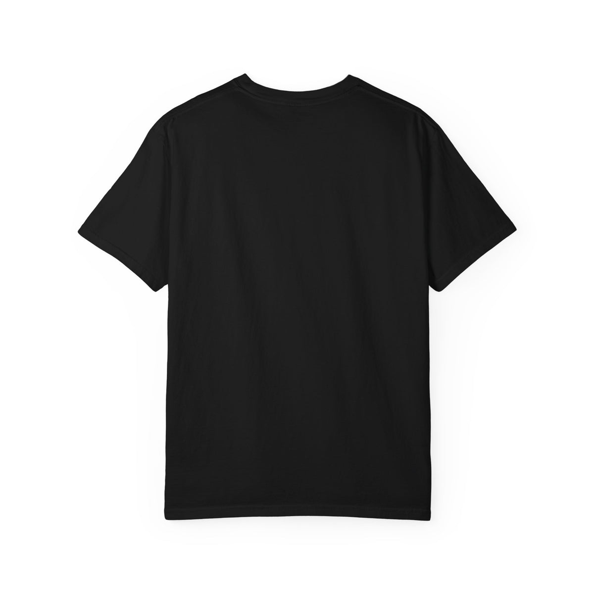 Jesus Is the Reason for the Season Christmas T-Shirt
